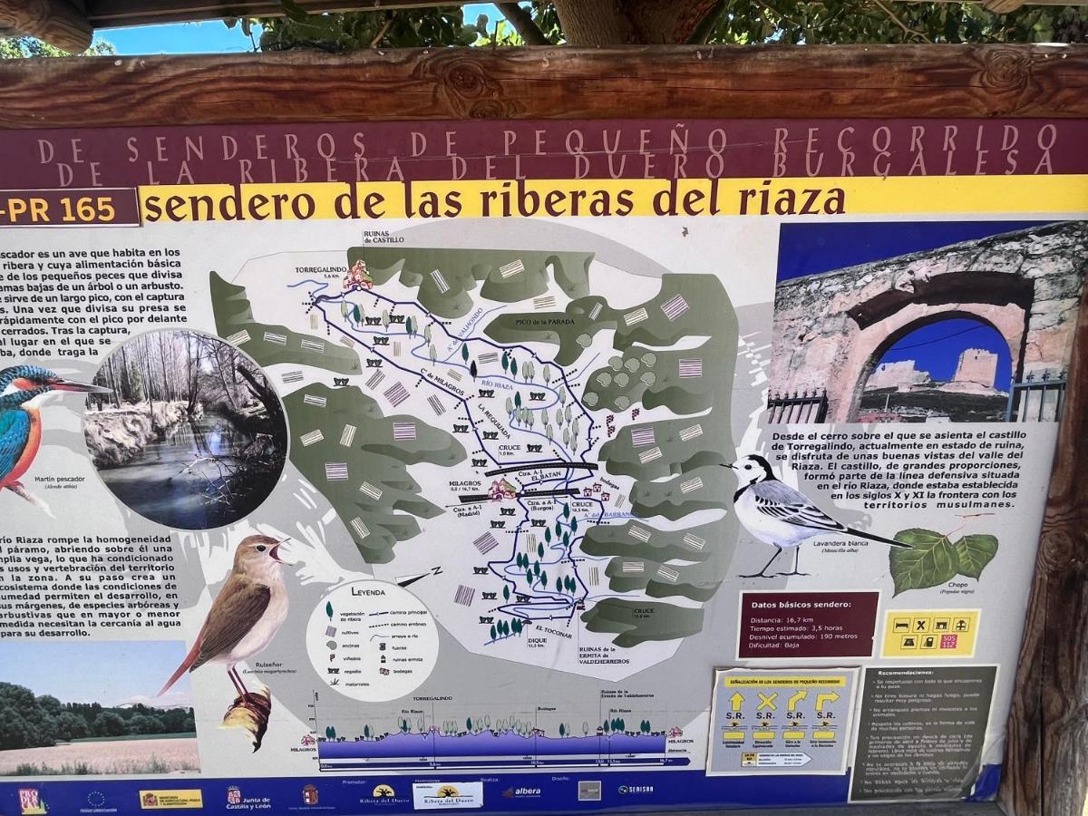 Casa Marite Vivienda De Uso Turistico Villa Campillo de Aranda Eksteriør bilde